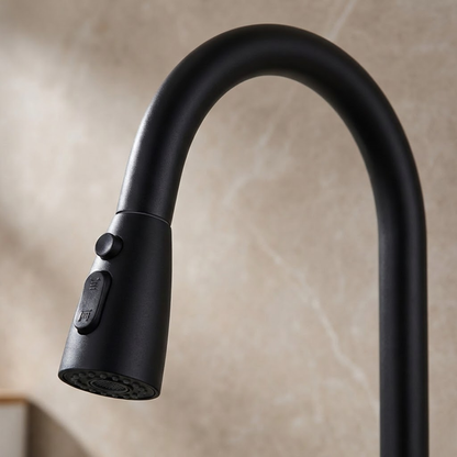 Nero Dual Kitchen Faucet and Water Filter Combo in Matte Black