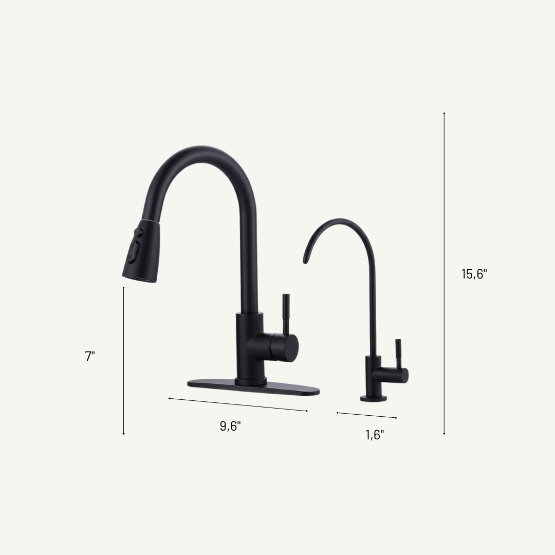Nero Dual Kitchen Faucet and Water Filter Combo in Matte Black