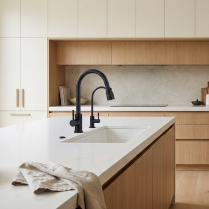 Nero Dual Kitchen Faucet and Water Filter Combo in Matte Black